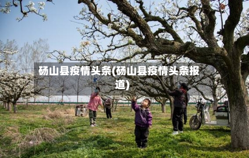 砀山县疫情头条(砀山县疫情头条报道)-第1张图片