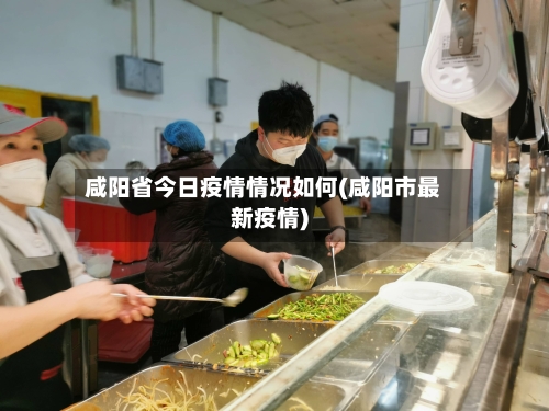 咸阳省今日疫情情况如何(咸阳市最新疫情)-第2张图片