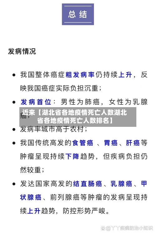 近来【湖北省各地疫情死亡人数湖北省各地疫情死亡人数排名】-第3张图片