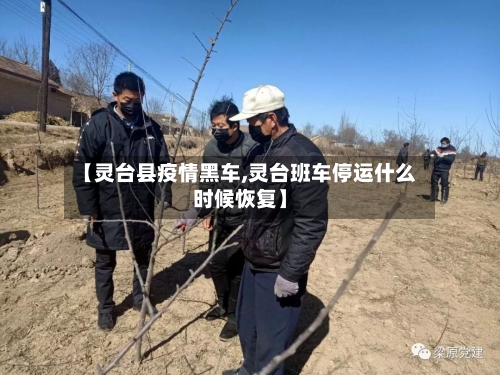 【灵台县疫情黑车,灵台班车停运什么时候恢复】-第1张图片