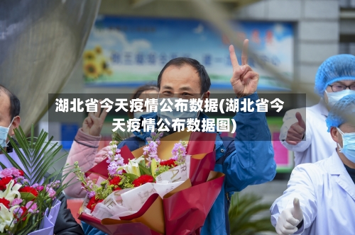 湖北省今天疫情公布数据(湖北省今天疫情公布数据图)-第1张图片