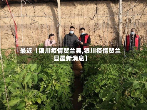 最近【银川疫情贺兰县,银川疫情贺兰县最新消息】-第1张图片